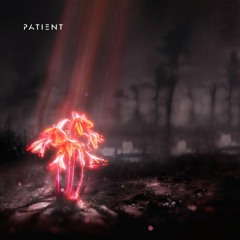 Enter Shikari - It Hurts (Patient DnB Refix)[FREE DOWNLOAD]