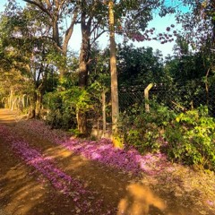 15.06.2022 - Cap. XI - Amar o Próximo Como a Si Mesmo - O Egoísmo (8)