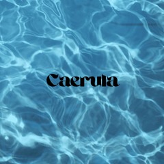 caerula