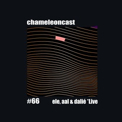 chameleon #66 - ele, aal & dalié *live