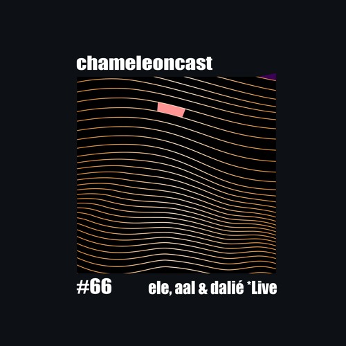 chameleon #66 - ele, aal & dalié *live