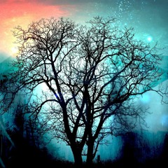 longing for solace