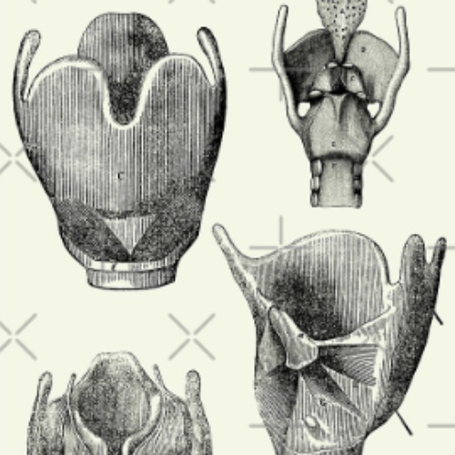 self-performed laryngectomy