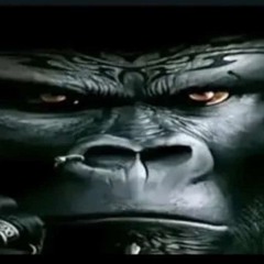 jungle beat 6 (free downloade)