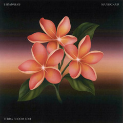 Dom Dolla, Mansionair - Strangers (Terra Bloom Remix)