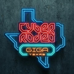 Cyber Rodeo