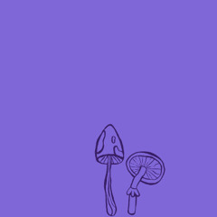 Trip 2