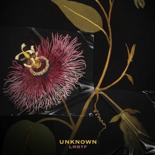 UNKNOWN - LMBYF