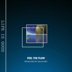 Feel The Flow Program | Vol 1