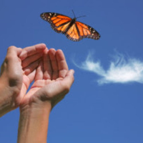 "The Spiritual Power of Release"  with Judee Light, 11/23/2025