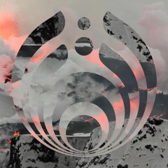 Bassnectar - NCMF 2011