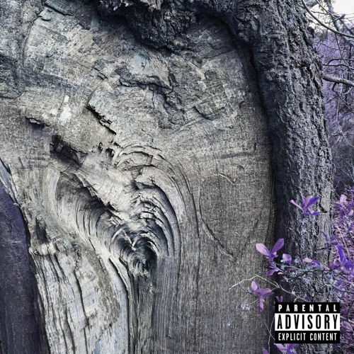 Chaze Sharp - Tree Carvings