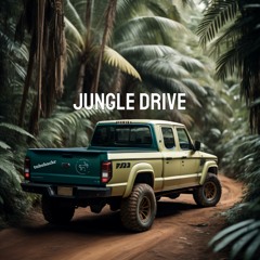 Jungle Drive - Tubebackr & Ferco