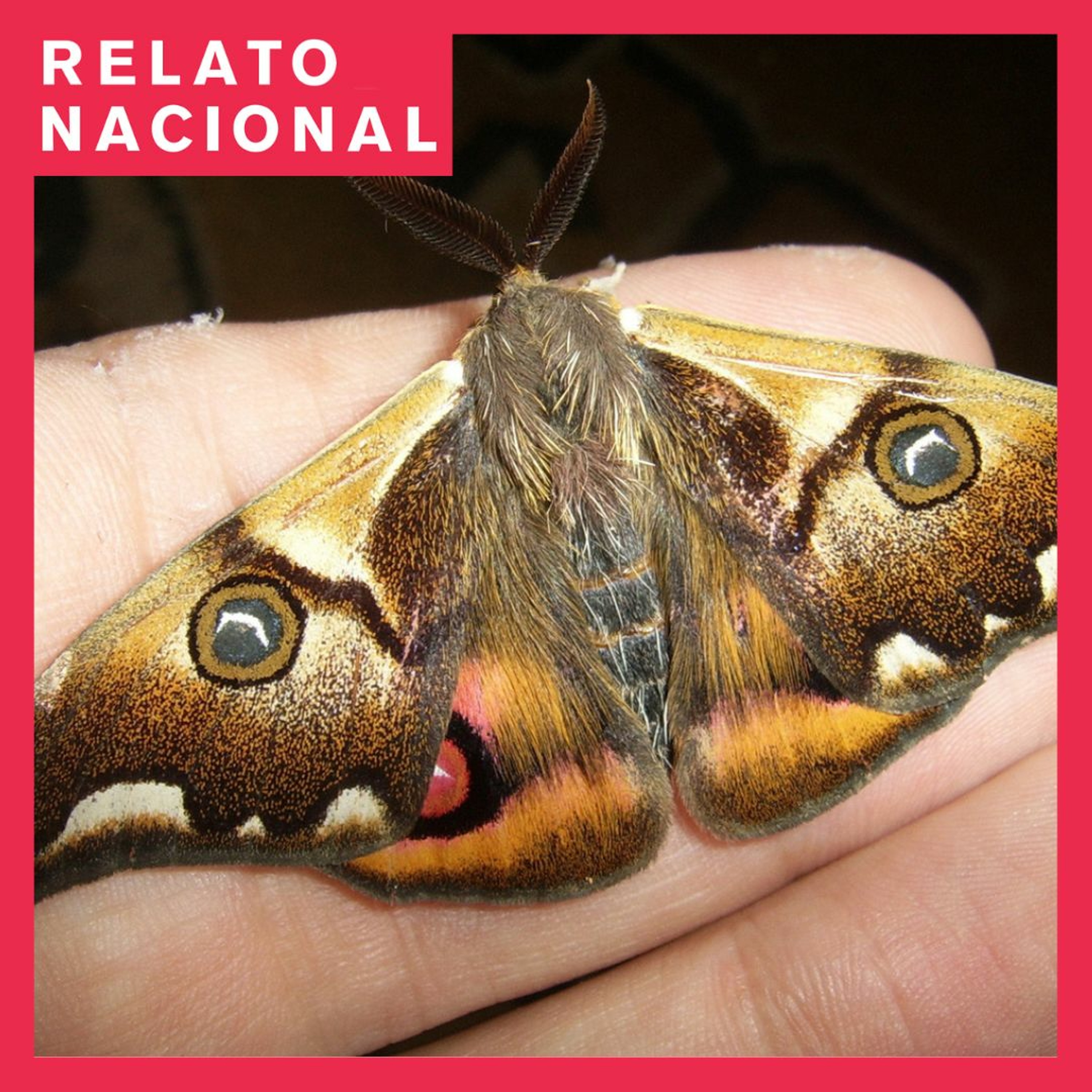Relato Nacional