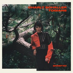 Charly Schaller - Television Static