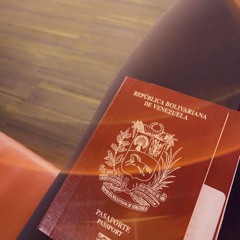 Immigration And Its Struggles As A Teenager