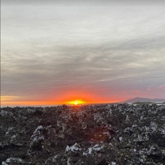 Stranded in the Galapagos (live)