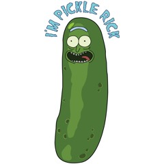 Pickle Rick: The Search for Validation