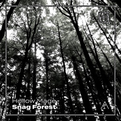 Hollow Mage - Snag Forest
