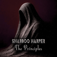 Shabboo Harper - The Principles EP - [shortcuts] Soviett Lenivo