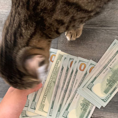 MoneyBagz Buzz - Thug Passion