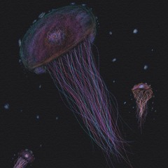 Through//The//Spyglass