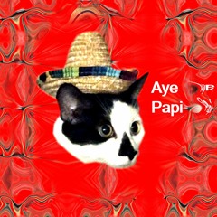 Aye Papi [Free DL]