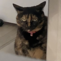 AL3XAND3RR3DD - NO SLEEP FREESTYLE   (Prod.Peyotebeats)