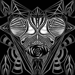The Mantis