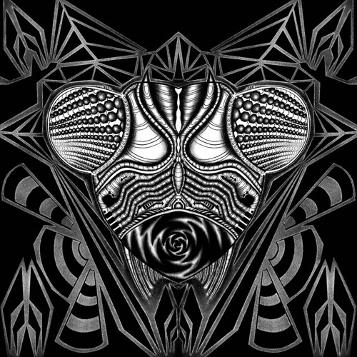 The Mantis