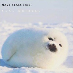 navy seals (mix)