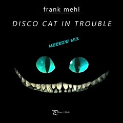 Disco Cat In Trouble