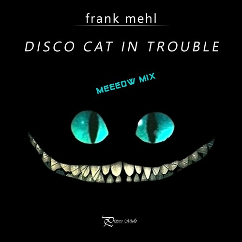 Disco Cat In Trouble