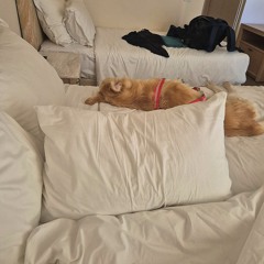 How many pillows