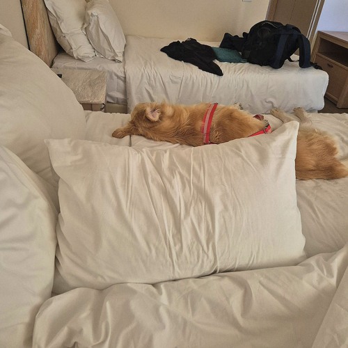 How many pillows
