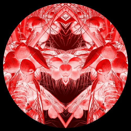 Stream GROOVADOR | Listen to Demos playlist online for free on SoundCloud