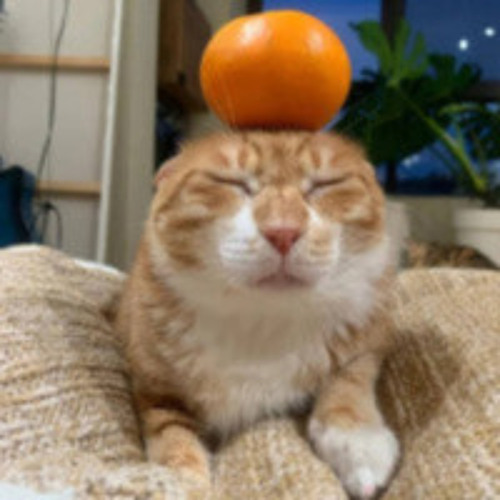 ROBLOX LOUD BYPASSED LUNY3L AUDIO ID FOR PIMP DAT HO BY LIL PIMP 187 AUDIO MAKER ULTRA MEGA RARE SUPER RARE LOUD