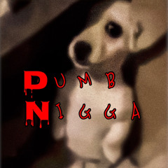 𝐃umb 𝐍igga