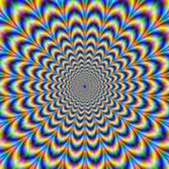 TRIPPIN IN PLAIN SIGHT