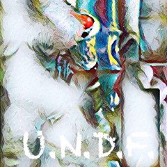 UNDF BB .mp3