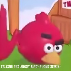 Talking red angry bird (Phonk Remix)