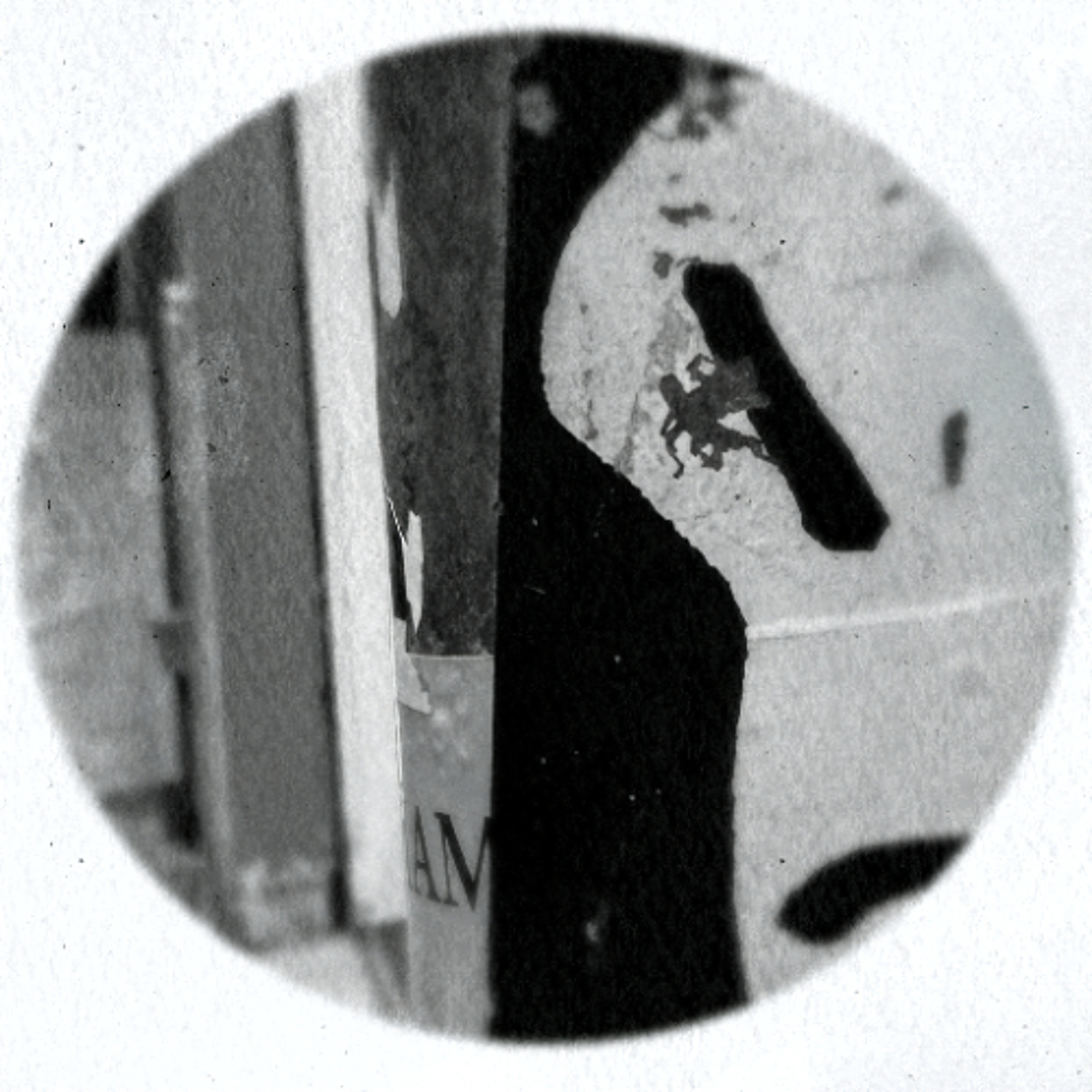 Scuba - Homing Device