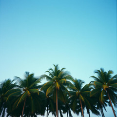 Tropical Echoes (Тропические Эхо)