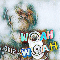 Woah Woah (prod. drippxyblue x sytruzbeats)