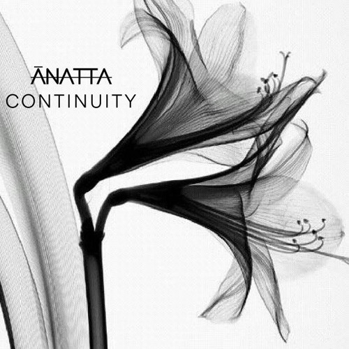 CONTINUITY E2 // ANATTA