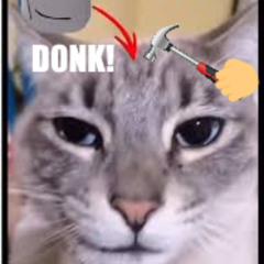 donkers (Autism edition) (maybe)