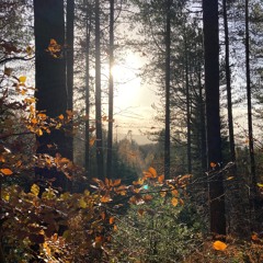 Noc Noc Deepvibes Radio Dec 2020