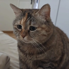 百葉箱