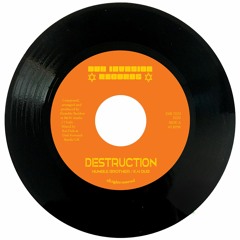 DESTRUCTION / DUB DESTRUCTION (sample)