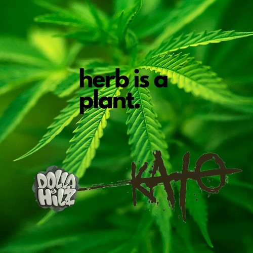 Irie & Fiery Episode 7: Herb is a Plant ft. kAtO, hosted by Dolla Hilz